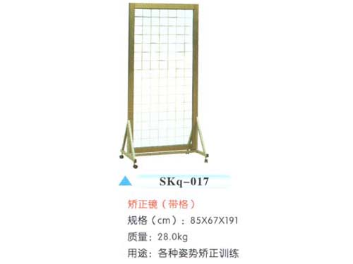SKq-017矫正镜(带格)