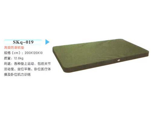 SKq-019高级防潮软垫